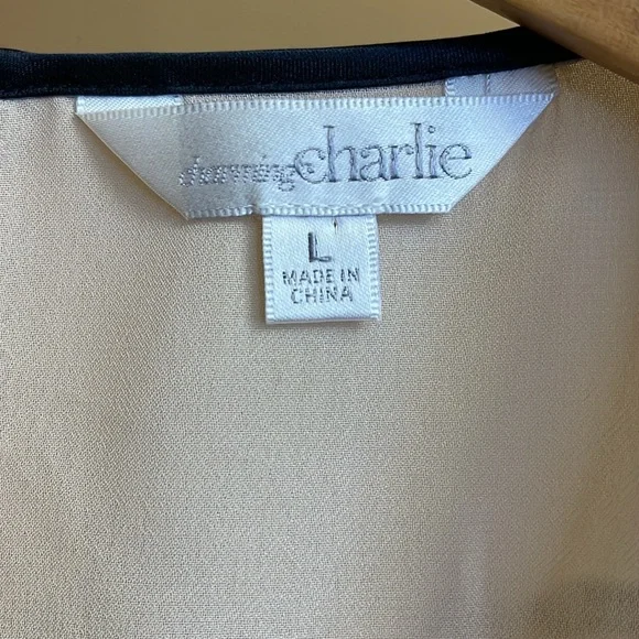 Charming Charlie Blush Pleated Sleeveless Blouse NWOT - Picture 7 of 11